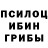 Галлюциногенные грибы прущие грибы Aleksandr Kudlasevich