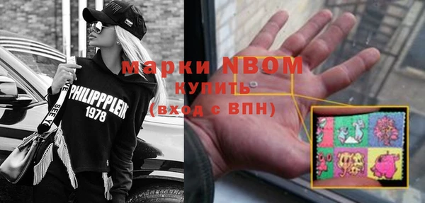 молекула духа Нязепетровск