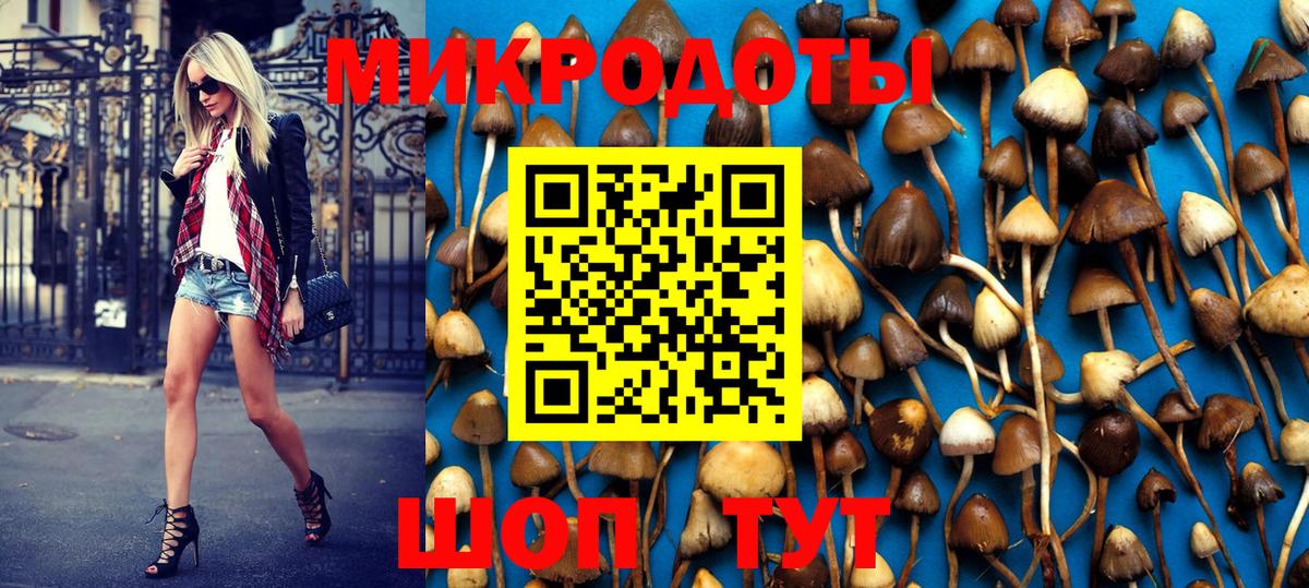 Псилоцибиновые грибы мухоморы Костомукша