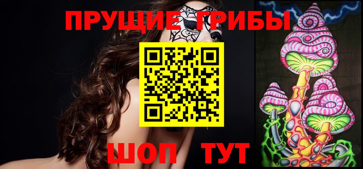 Галлюциногенные грибы Cubensis  как найти наркотики  Костомукша  Вход с VPN 