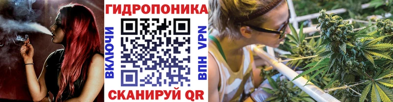 магазин продажи   Костомукша  Конопля VHQ 